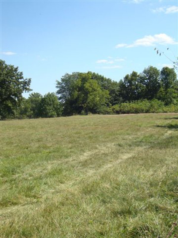 75.5 Acres Offered in 5 Tracts